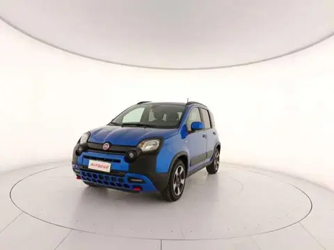 Used FIAT PANDA Hybrid 2024 Ad 