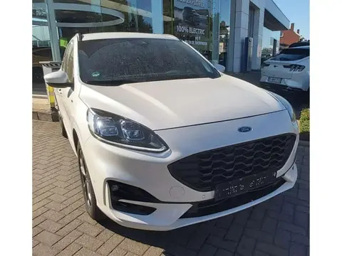 Used FORD KUGA Diesel 2022 Ad 