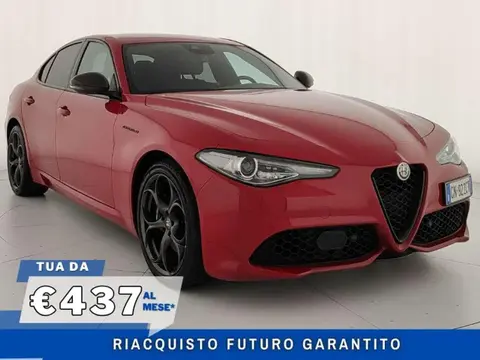 Used ALFA ROMEO GIULIA Diesel 2023 Ad 