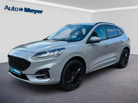 Annonce FORD KUGA Hybride 2024 d'occasion 