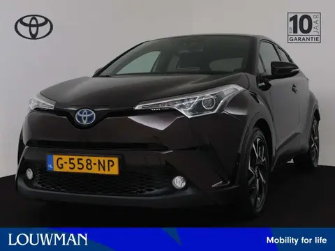 Used TOYOTA C-HR Hybrid 2019 Ad 