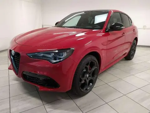 Used ALFA ROMEO STELVIO Diesel 2024 Ad 