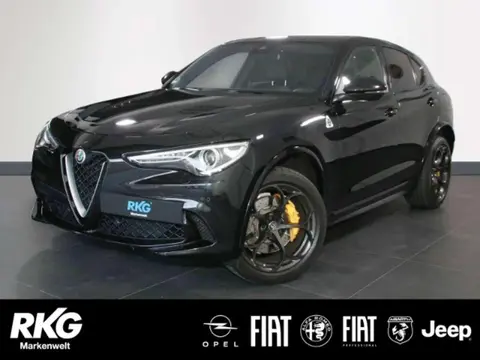 Annonce ALFA ROMEO STELVIO Essence 2019 d'occasion 