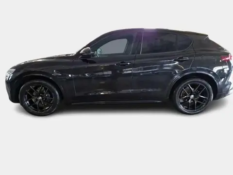 Used ALFA ROMEO STELVIO Diesel 2021 Ad 