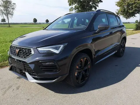 Annonce CUPRA ATECA Essence 2024 d'occasion 