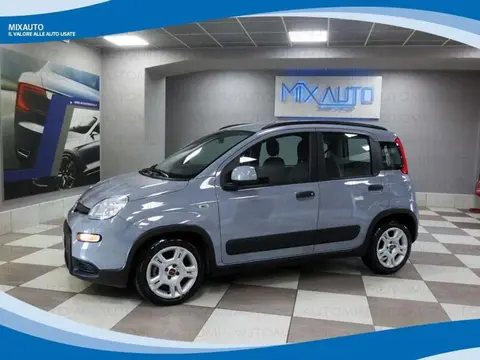 Annonce FIAT PANDA Hybride 2022 d'occasion 