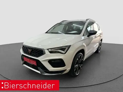 Used CUPRA ATECA Petrol 2024 Ad 