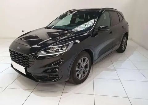 Used FORD KUGA Petrol 2023 Ad 