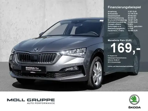 Annonce SKODA SCALA Essence 2023 d'occasion 