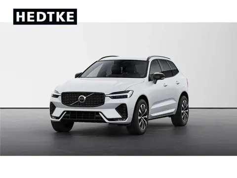 Annonce VOLVO XC60 Diesel 2024 d'occasion 