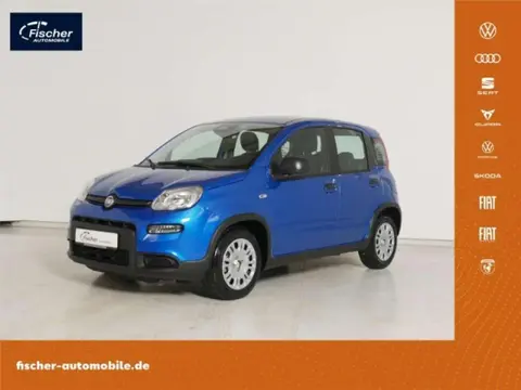 Used FIAT PANDA Petrol 2024 Ad 