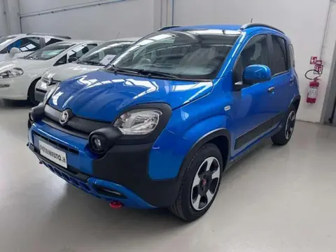 Annonce FIAT PANDA Hybride 2024 d'occasion 