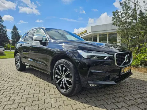 Used VOLVO XC60 Petrol 2019 Ad 