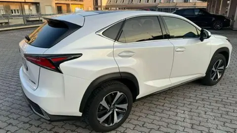 Annonce LEXUS NX Hybride 2021 d'occasion 