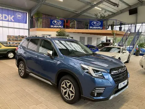 Annonce SUBARU FORESTER Essence 2024 d'occasion 