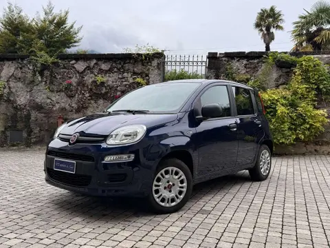 Annonce FIAT PANDA Essence 2019 d'occasion 