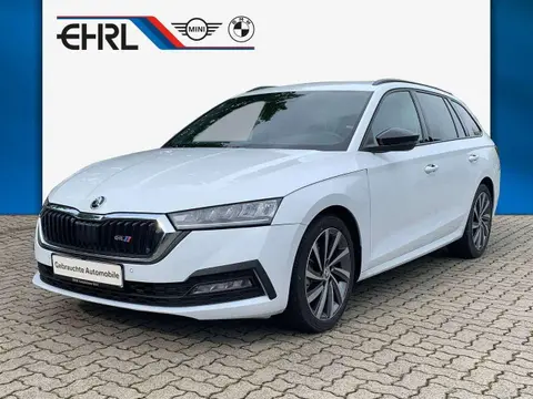 Annonce SKODA OCTAVIA Diesel 2023 d'occasion 