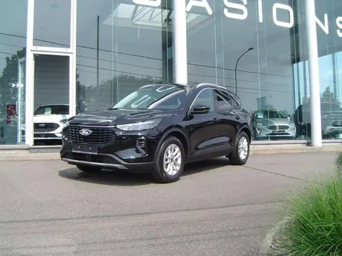 Annonce FORD KUGA Essence 2024 d'occasion 