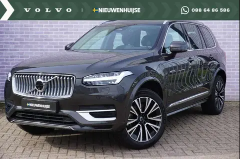 Used VOLVO XC90 Hybrid 2024 Ad 