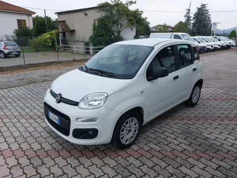 Used FIAT PANDA Petrol 2019 Ad 