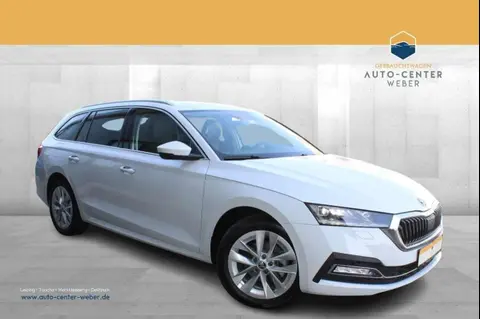 Used SKODA OCTAVIA Diesel 2023 Ad 