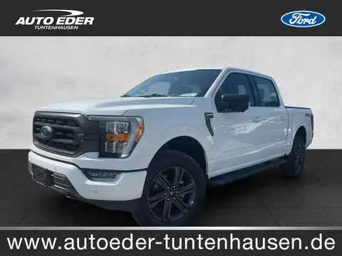 Annonce FORD F150 Essence 2024 d'occasion 