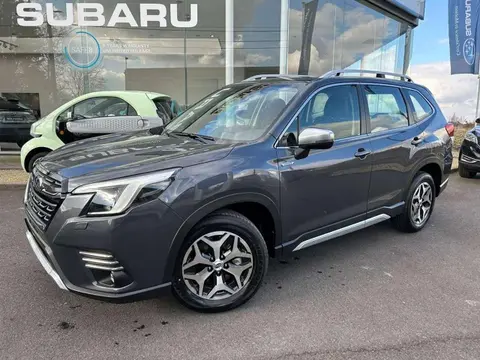 Used SUBARU FORESTER Hybrid 2024 Ad 