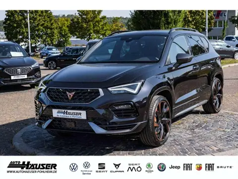 Annonce CUPRA ATECA Essence 2024 d'occasion 