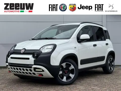 Used FIAT PANDA Petrol 2024 Ad 