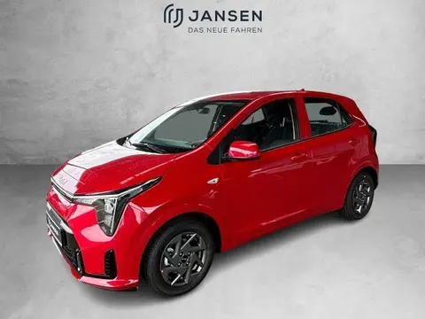 Used KIA PICANTO Petrol 2024 Ad 