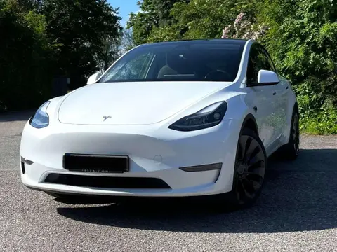 Used TESLA MODEL Y Electric 2023 Ad 