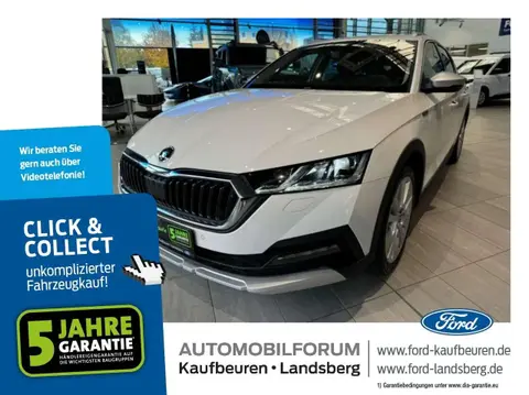 Used SKODA OCTAVIA Petrol 2022 Ad 