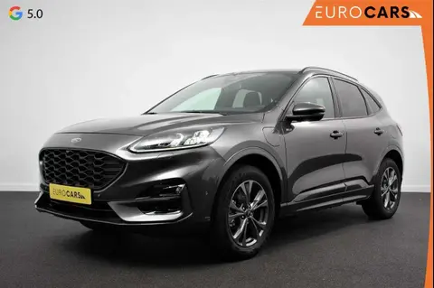 Annonce FORD KUGA Hybride 2022 d'occasion 