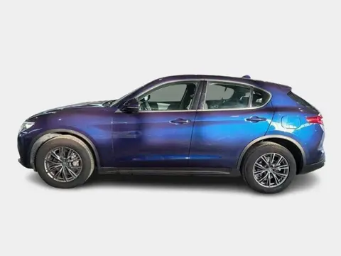 Used ALFA ROMEO STELVIO Diesel 2019 Ad 