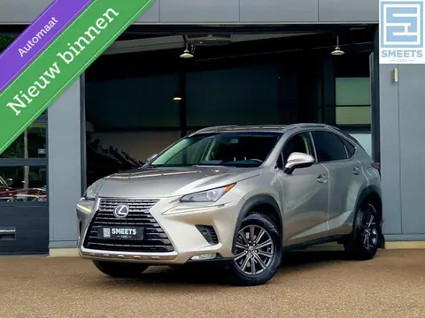 Annonce LEXUS NX Hybride 2018 d'occasion 