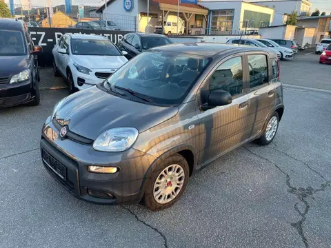 Annonce FIAT PANDA Essence 2022 d'occasion 