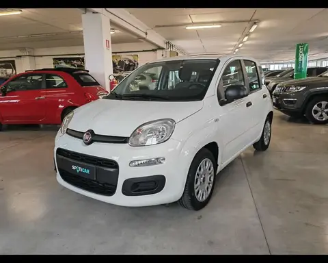 Used FIAT PANDA Hybrid 2022 Ad 