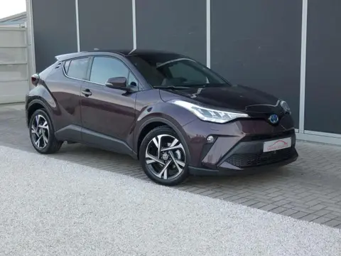 Used TOYOTA C-HR Hybrid 2023 Ad 