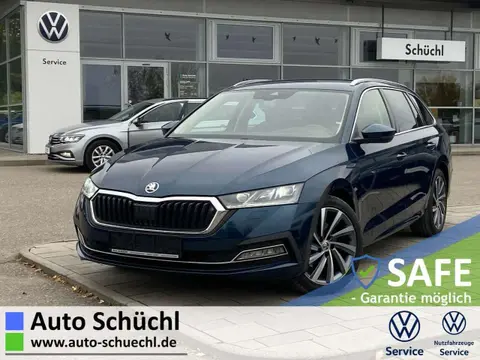 Used SKODA OCTAVIA Diesel 2020 Ad 