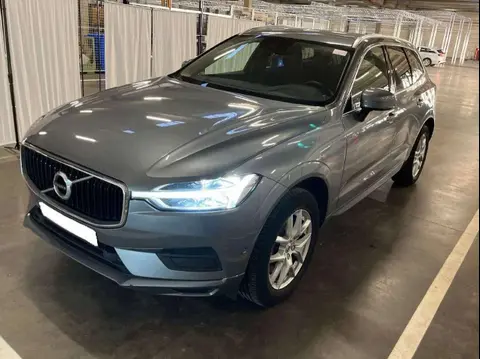 Used VOLVO XC60 Diesel 2019 Ad 