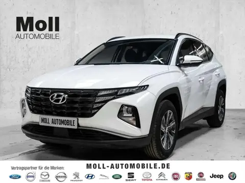 Used HYUNDAI TUCSON Petrol 2023 Ad 