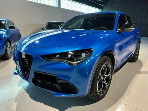 Used ALFA ROMEO STELVIO Diesel 2024 Ad 