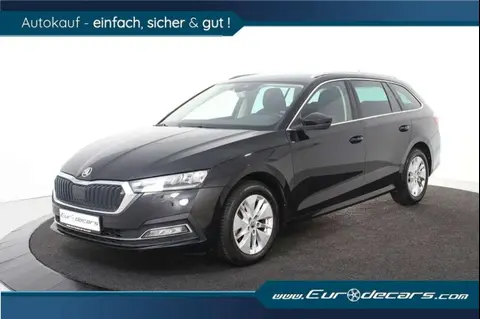 Used SKODA OCTAVIA Petrol 2022 Ad 