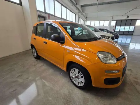 Annonce FIAT PANDA Essence 2017 d'occasion 