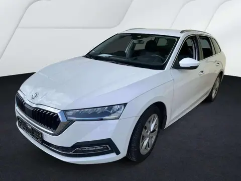 Annonce SKODA OCTAVIA Diesel 2022 d'occasion 