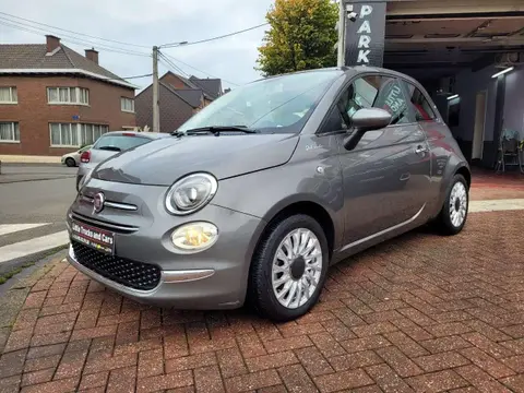 Used FIAT 500 Petrol 2021 Ad 