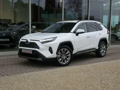 Used TOYOTA RAV4 Hybrid 2022 Ad 