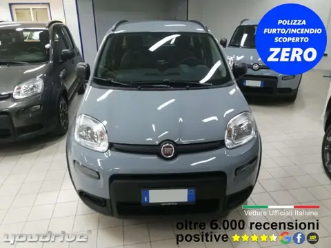 Used FIAT PANDA Hybrid 2022 Ad 