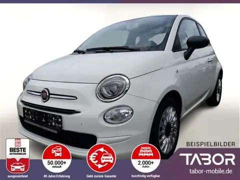 Used FIAT 500 Petrol 2022 Ad 