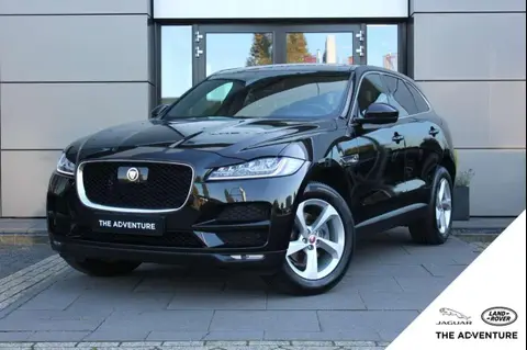 Used JAGUAR F-PACE Petrol 2019 Ad 